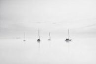 Nebelstimmung am See von Anneliese Grünwald-Märkl Miniaturansicht