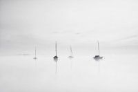 Mistige sfeer aan het meer
