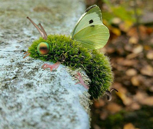 Fantasy 1 by PAPARAzzSSI Freelance Fotografie