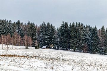Winterwandeling op de hoogten van het Thüringer Wald van Oliver Hlavaty
