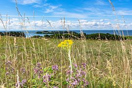 Groß Zicker, Blick zum Klein Zicker, den Zicker See und die Ostsee, Rügen von GH Foto & Artdesign