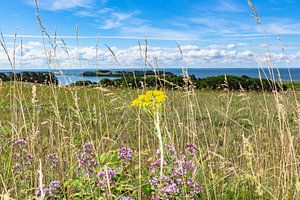 Groß Zicker, Blick zum Klein Zicker, den Zicker See und die Ostsee, Rügen