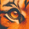 Tigerauge in Flames of Focus Digital Intensity von Eva Lee