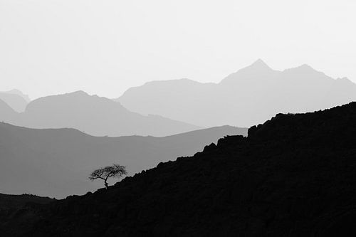 Eenzame boom in berglandschap