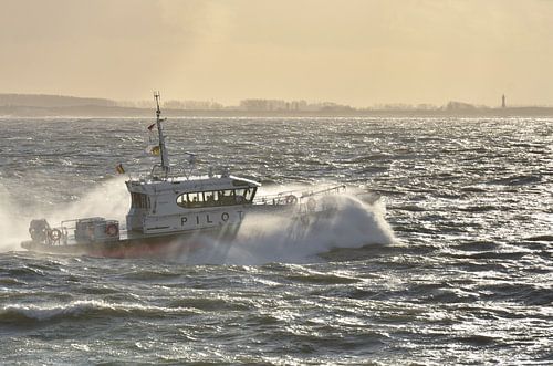 Pilot boat through the storm at Vlissingen