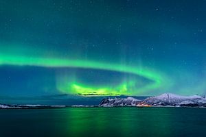 Nordlichter, Polarlicht oder Aurora Borealis im nächtlichen Himmel über Senja