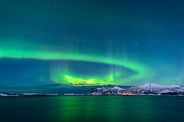 Nordlichter, Polarlicht oder Aurora Borealis im nächtlichen Himmel über Senja von Sjoerd van der Wal