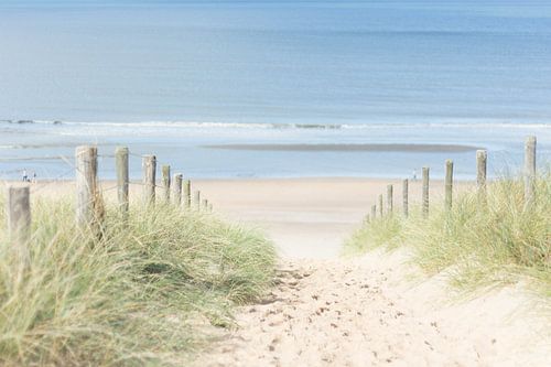 The beach - Door de duinen naar de zee