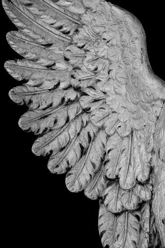 Heavenly fine art Vleugels