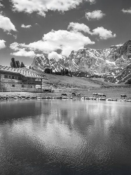 Mahlknechthütte auf der Seiser Alm, Südtirol von Christian Müringer