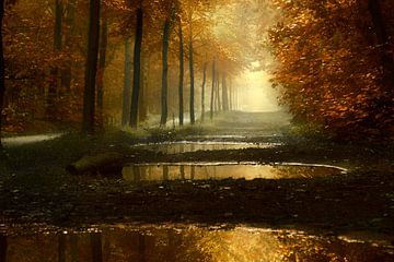 Rote Morgenröte (Niederländischer Herbstwald) von Kees van Dongen