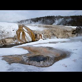 Winter in Yellowstone van Andius Teijgeler