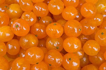 Specialiteit Candied Clementines in Nice van Werner Dieterich