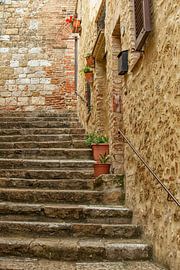 Un vieil escalier en pierre orné de plantes en Toscane