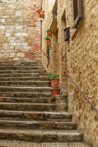 Oude stenen trap met planten in Toscane