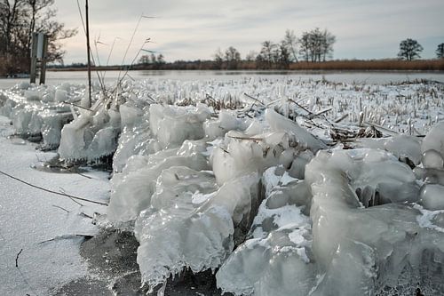 Nieuwkoopse Plassen en hiver avec de la glace