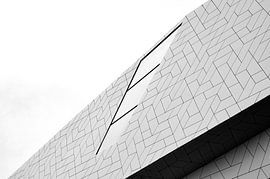 Auge 2 von Franksdailyday