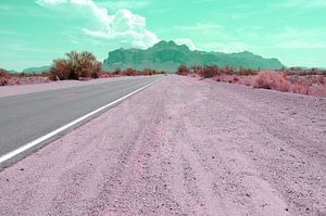 Arizona dream