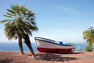 boat and palm teee in tropical climate van ChrisWillemsen thumbnail