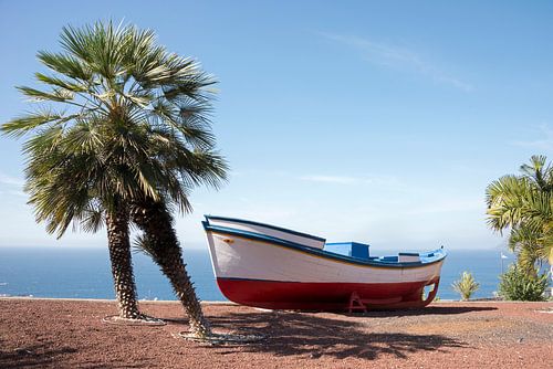 boat and palm teee in tropical climate