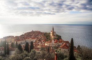 Piran Ansicht
