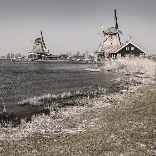 Molens. Zaanse Schans. Holland. Nieuw Landelijk. Erfgoed.