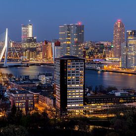 Rotterdam vom Euromast aus von Irene van der Sloot