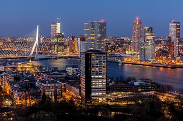 Rotterdam vanaf de Euromast van Irene van der Sloot
