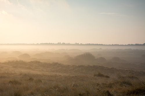 Mistige duinen bij zonsopkomst