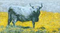 Schotse Hooglander in Van Gogh kleuren