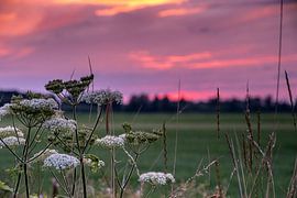 Avondrood3 van Ben van Damme