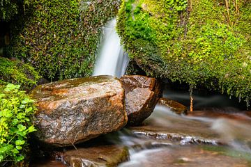 Kleine waterval in bos met stenen van Guenter Purin