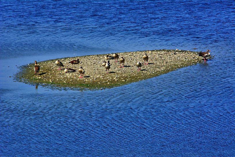 Reservoir eiland van Edgar Schermaul