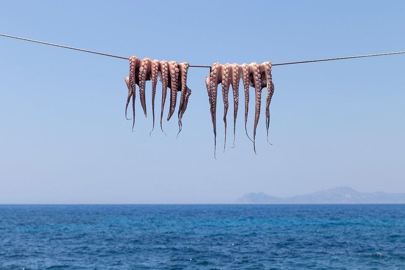 Oktopus auf der Wäscheleine von Sharon de Groot