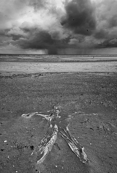 Ameland man on the beach by . Groningenart