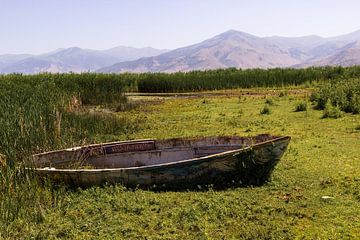 Oude roeiboot in landschap met bergen op de achtergrond van Edith Keijzer
