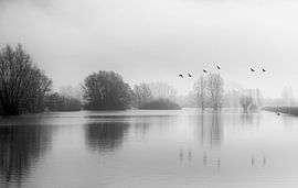 Landschaft IJssel von Veronie Hulleman