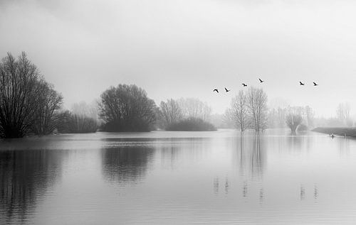 Paysage de l'IJssel