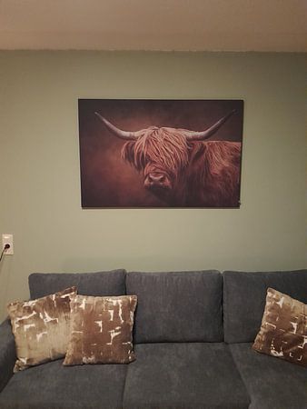 The Scottish Highlander