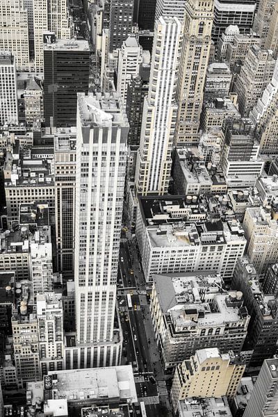 Les gratte-ciel de New York par Patrycja Polechonska