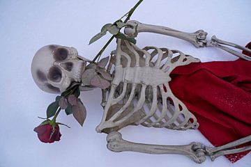 Ewige Liebe Skelett mit roter Rose in weißem Schnee
