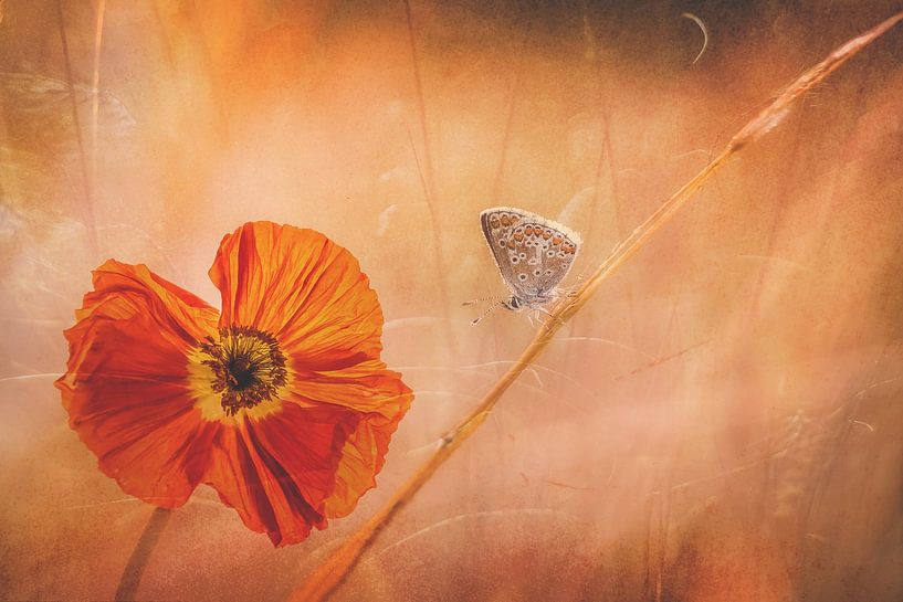 on my way by Hilda van der Lee