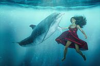 Dolphin Tango by Arjen Roos thumbnail