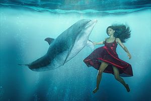 Tango des dauphins