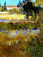 Vincent van Gogh - Bloeiende tuin, 1888