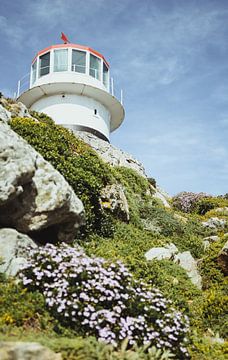 New Cape Point Lighthouse | Reisfotografie | West-Kaap, Zuid-Afrika, Afrika van Sanne Dost