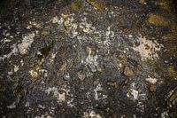 Burned Tarmac