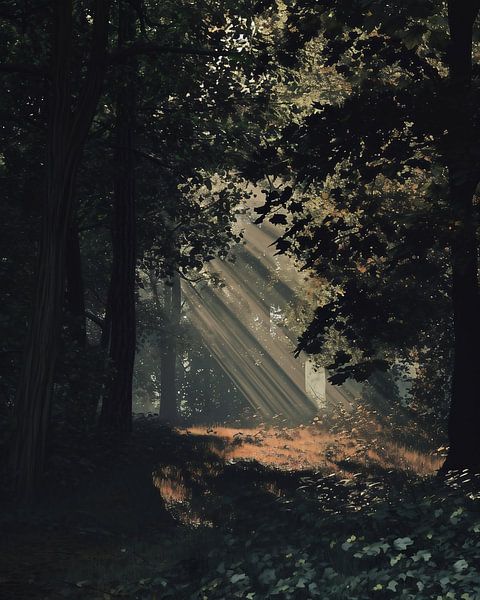 Romantisch licht in het bos van fernlichtsicht