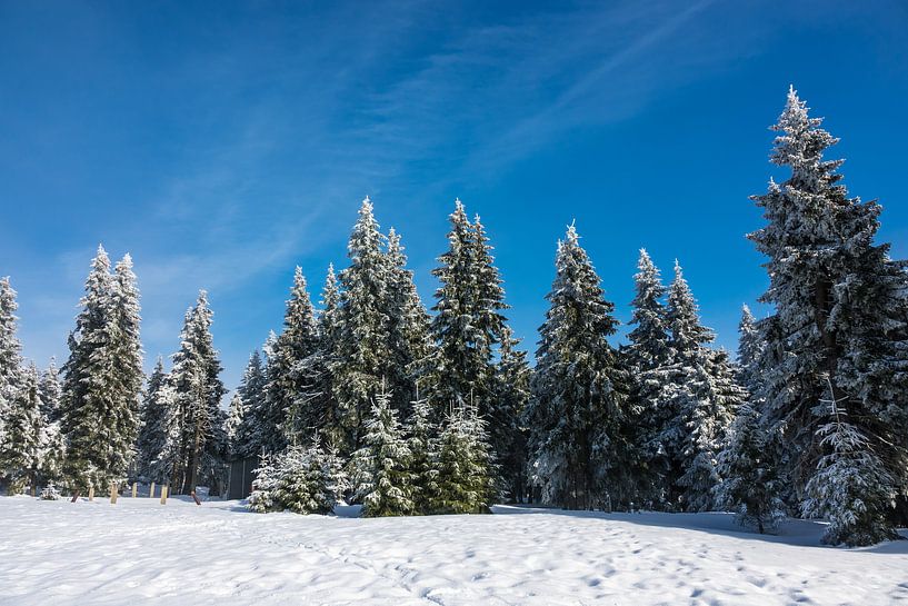 Winter im Riesengebirge in Tschechien von Rico Ködder