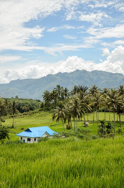 Sumatra von Hans Lunenburg